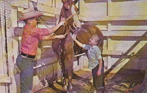 Children Washing Horse Owning A Horse Is Not All Play