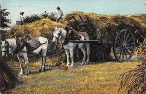 Haying Farming Unused 