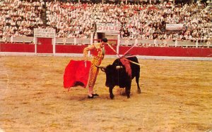 Corrida de Toros Bull Race Mexico Tarjeta Postal Postal Used Unknown 