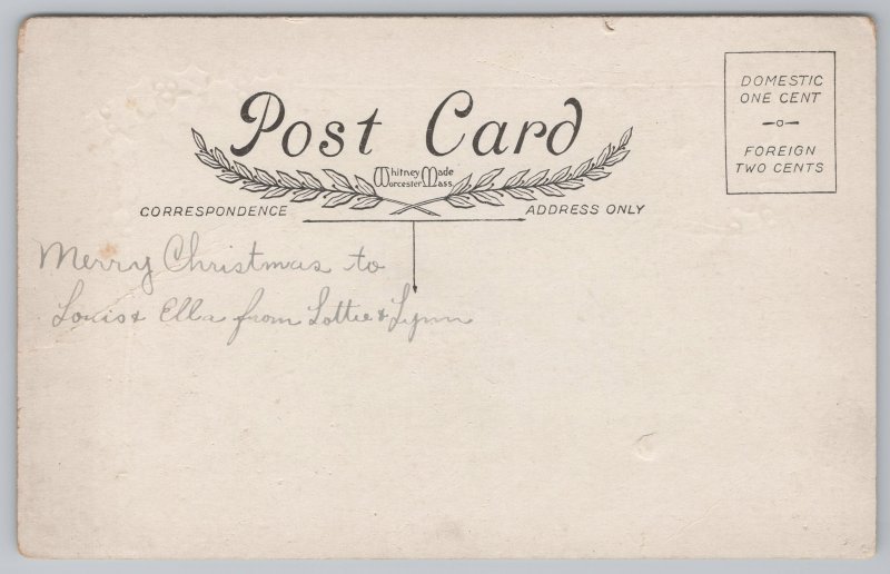 Holiday~Christmas~Summer Landscape~Holly~Vintage Postcard