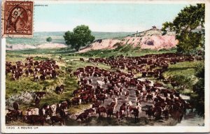USA A Round Up Cows Cattle Vintage Postcard C200