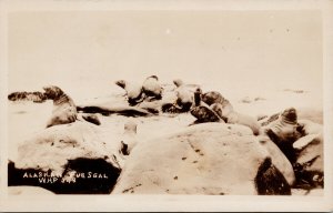 Alaskan Fur Seal WHP 148 Seals Alaska EJ Unused Real Photo Postcard F11