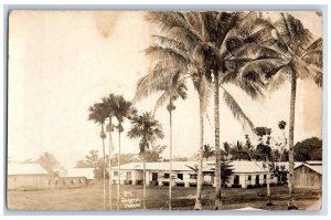 Philippines Parang Postcard RPPC Photo Quarter Coconut Trees Houses c1910's