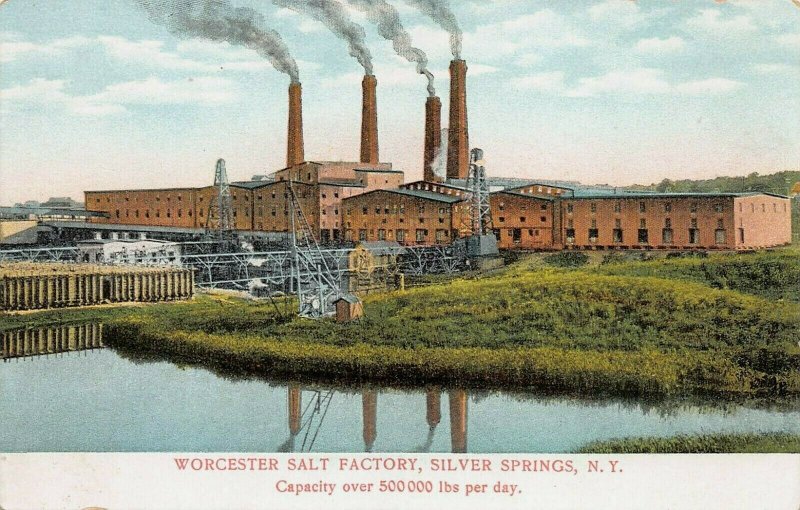 Worcester Salt Factory, Silver Springs, New York, Early Postcard, Unused