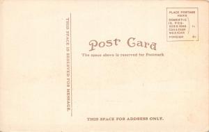 MUSKEGON MICHIGAN~MONA LAKE-KROPP #4769 PUBLISHED  POSTCARD 1910s