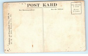 Mental Salad Word Play Comic Vintage 1909 Postcard D84