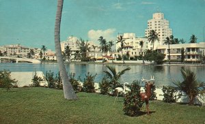 Vintage Postcard Skyline From Lawn Of An Indian Creek Home Miami Beach Florida