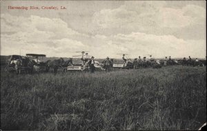 Crowley Louisiana LA Harvesting Rice Farming Tractors c1910 Postcard