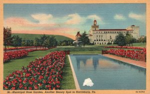 Vintage Postcard Municipal Rose Garden Beauty Spot Harrisburg Pennsylvania PA