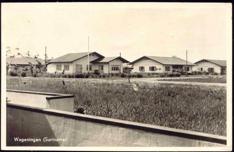 suriname, WAGENINGEN, Panorama Houses (1950s) RPPC 