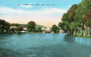 Vintage Postcard 1930's San Lorenzo River Santa Cruz California CA