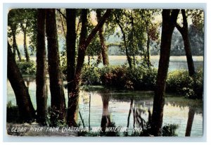1910 Cedar River From Chautauqua Park Waterloo Iowa IA Posted Antique Postcard