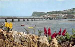 BR66346 teignmouth from the ness shaldon devon   uk 14x9cm