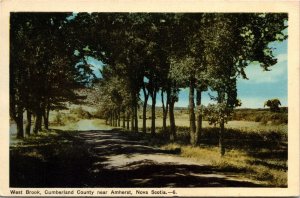Postcard NS West Brook Cumberland County near Amherst Dirt Road 1951 S104