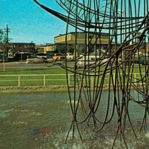 Canada Edmonton Alberta The Canadian Goose Fountain Vintage Postcard 07.64