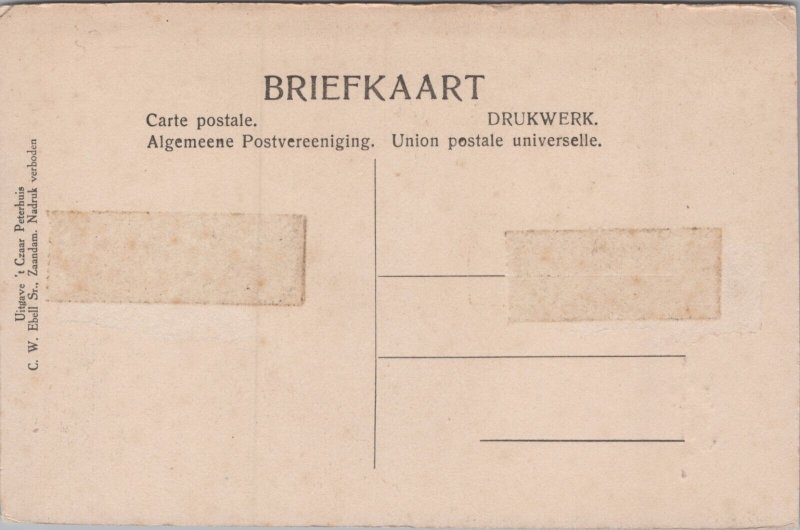 Groeten Uit Zaandam Postcard C342