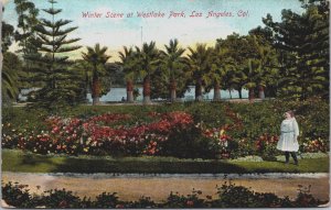 Winter Scene At Westlake Park Los Angeles California Vintage Postcard C144