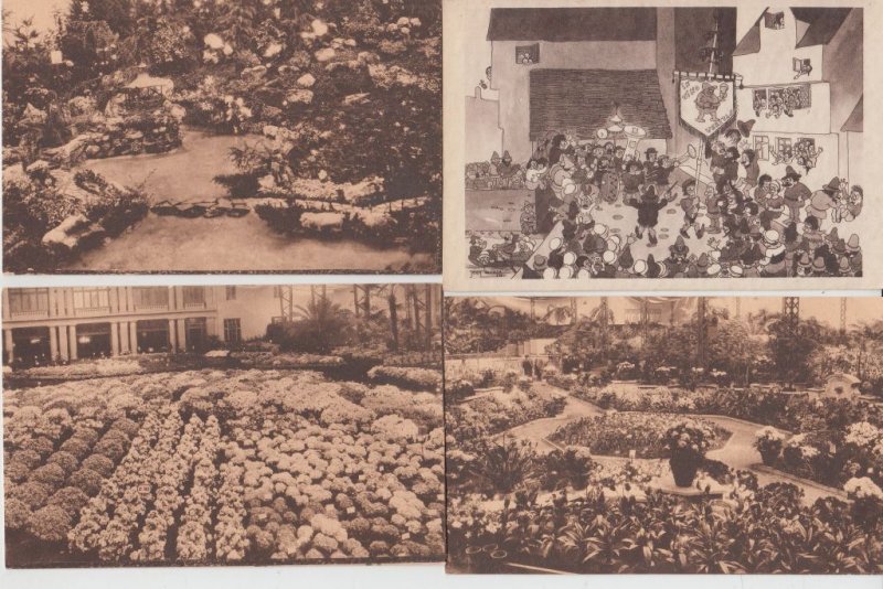 FLOWER EXPOSITION Gand 1908, 1933,1955 Belgium 42 Vintage Postcards (L5473)