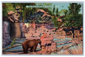 c1940's Bear Pits Forest Park St. Louis Missouri MO Unposted Vintage Postcard 