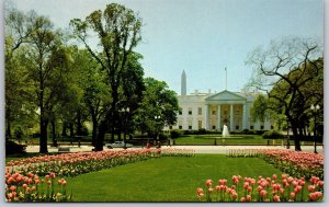 Vtg Washington DC White House 1970s View Unused Chrome Postcard