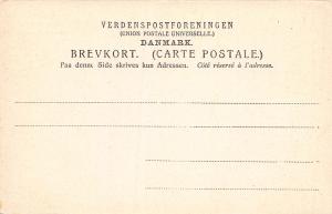 Hotel Cosmopolite, Copenhagen, Denmark, Early Postcard, Unused