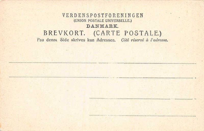 Hotel Cosmopolite, Copenhagen, Denmark, Early Postcard, Unused
