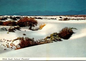 New Mexico White Sands National Monument
