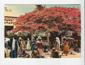 470839 Africa in pictures Sellers under a Blazing tree Old photo postcard