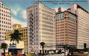 Wilson Building and Tower Corpus Christi TX Postcard PC136