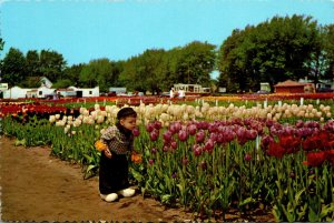 Michigan Holland Young Boy At Nelis Tulip Farm