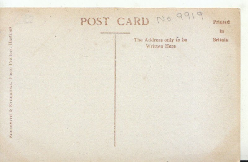 Sussex Postcard - The Cloisters - Battle Abbey - TZ11505