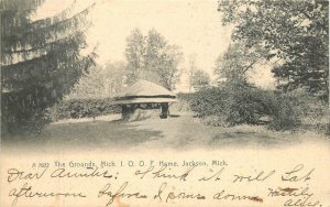 Michigan Jackson The Grounds IOOF Home A7822 Postcard Rotograph 22-8586