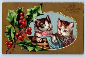 Harris Minnesota MT Postcard Christmas Cat Kittens Holly Berries Bamforth 1909