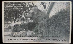 Vintage Postcard 1939 Benson's Wild Animal Park, Nashua, New Hampshire