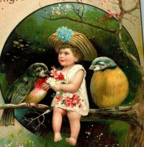 Vintage 1909 Fantasy Postcard Cute Girl with Giant Birds Pink Flowers Beautiful