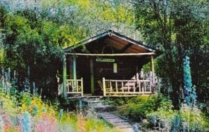 Canada Robert Service's Cabin Dawson City Yukon