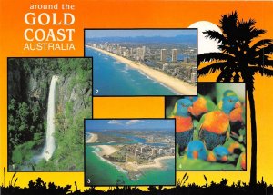 Lot99 around the gold coast australia surfers paradise queensland
