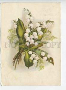 440892 USSR 1956 year lily of the valley RPPC publishing Latvia