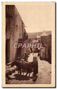 Old Postcard Morocco In A Village South Donkey Donkey