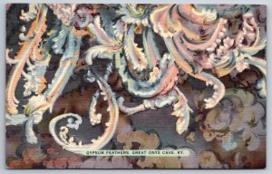 Mammoth Cave Kentucky~Gypsum Feathers @ Great Onyx~PM 1942~Vtg Linen Postcard