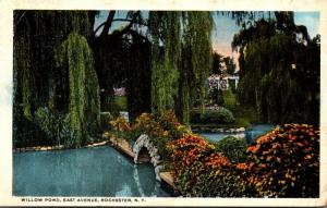 New York Rochester East Avenue Willow Pond 1919