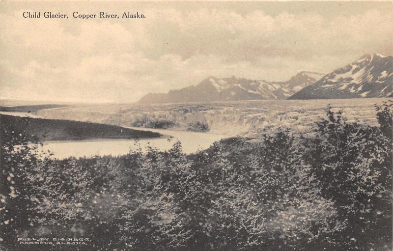 Copper River Alaska~Child Glacier (Tree Top View)~Mountains Bknd~Albertype Pc