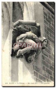 Old Postcard Blois Chateau Aille Louis XII A Cariatide