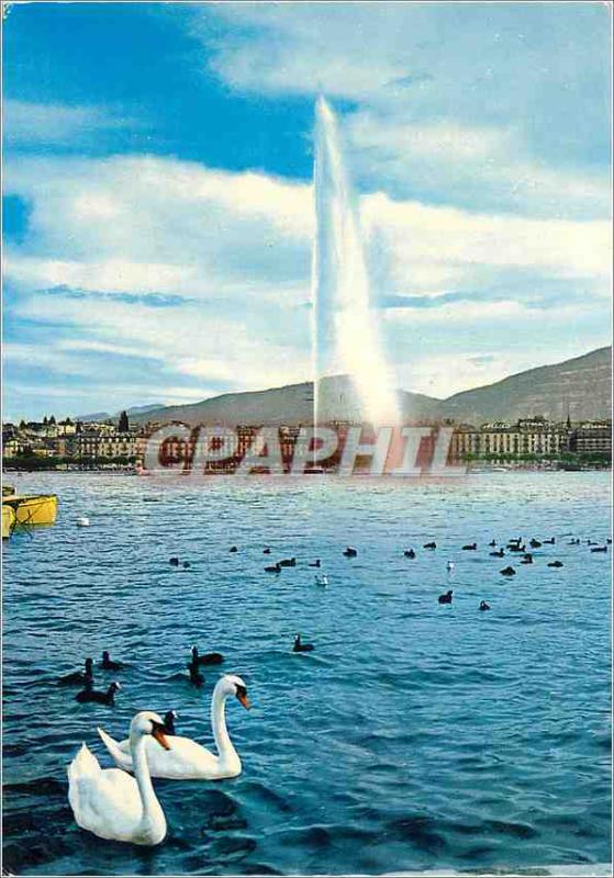 Modern Postcard Geneve The water jet and swans