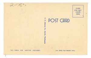 Dogs - Alaskan Husky Family