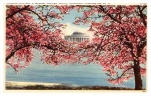 12698   Washington D.C.   Thomas Jefferson memorial, Cherry Blossoms
