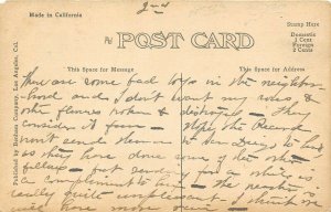 Los Angeles California c1910 Postcard Sample Line Alligator Farm