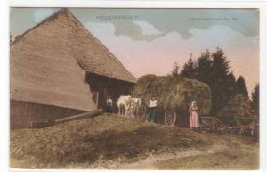 Heu Einfahrt Hay Wagon Barn Schwarzwald Germany 1910c postcard