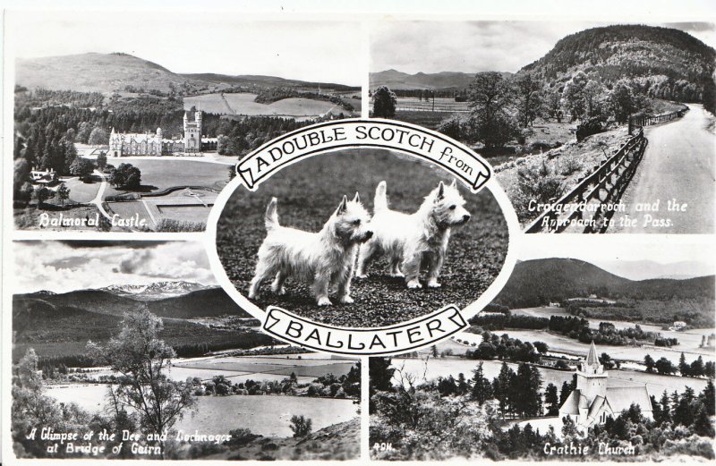 Scotland Postcard - A Double Scotch from Ballater - Real Photograph   MB1784