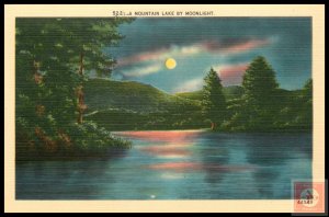 A Mountain Lake by Moonlight